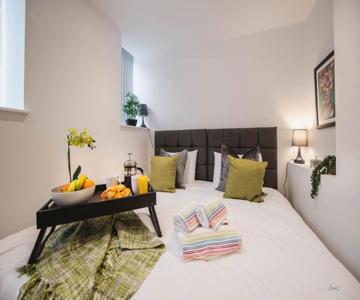 Charles Alexander Short Stay - Windmill House Apartments