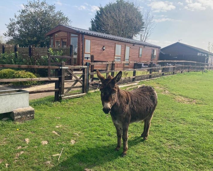 Rew Farm Country and Equestrian Accommodation - Sunset Lodge