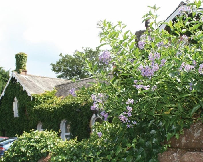 The Brantwood Hotel