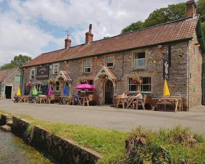 Plume of Feathers