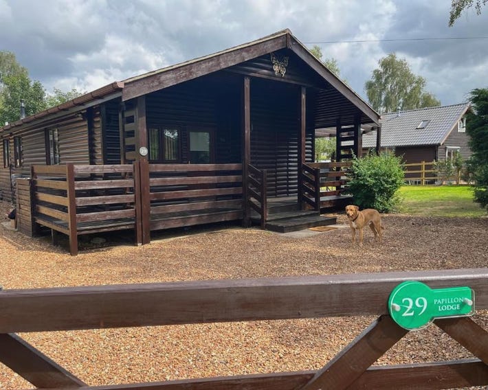 Cheerful 3-bedroom cabin with hot tub