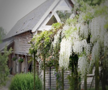 Acorn Barn