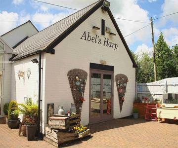 Abel's Harp