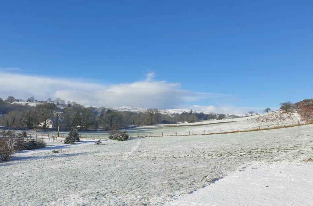 Newland Valley Log Cabins