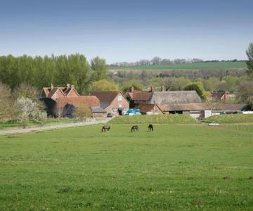 The Old Stables