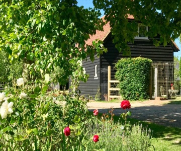 Potts Farm