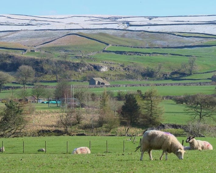 Farfield