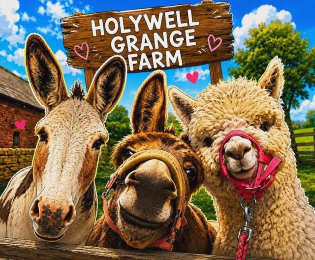 Holywell Grange Farm