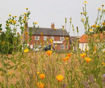 The Five Bells Inn