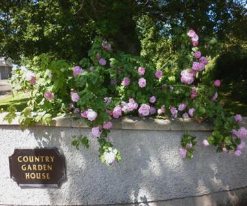 Country Garden House