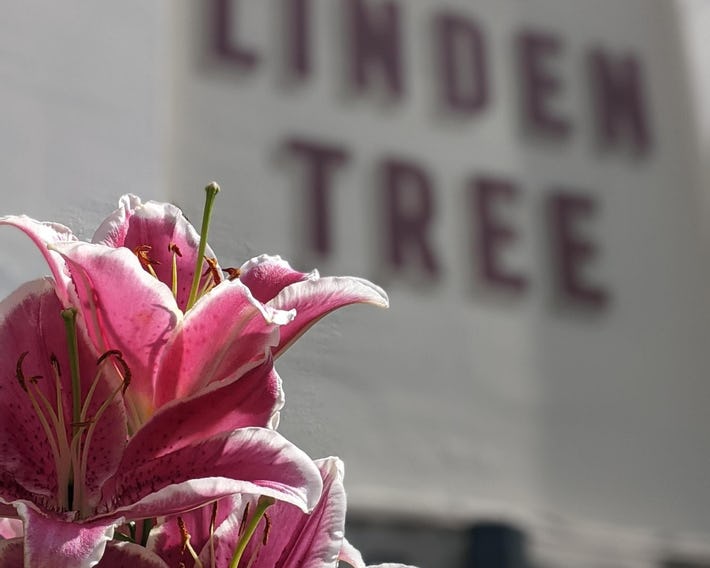 Linden Tree - Inn