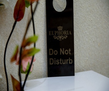 Euphoria
