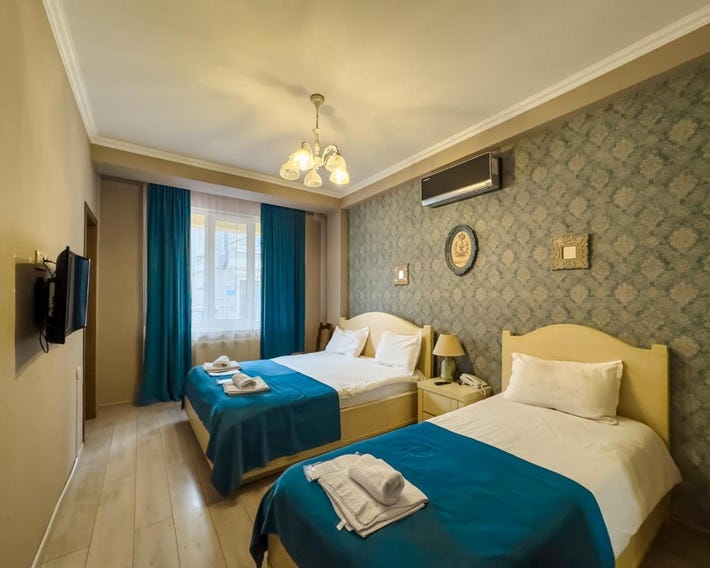 Hotel New Metekhi