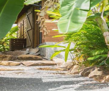 Guana Ecolodge