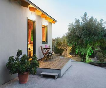 Olive Grove