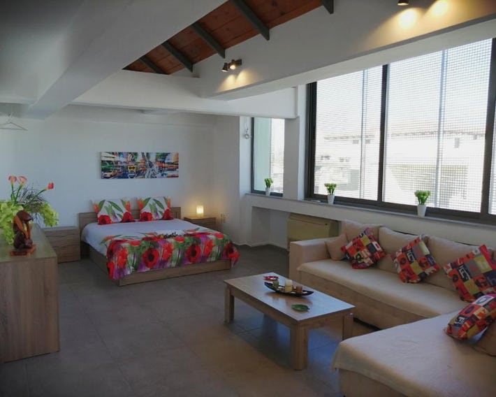 Spacious & Modern Studio Apartment Near the Airport