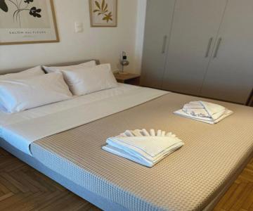 Cozy Faliro home