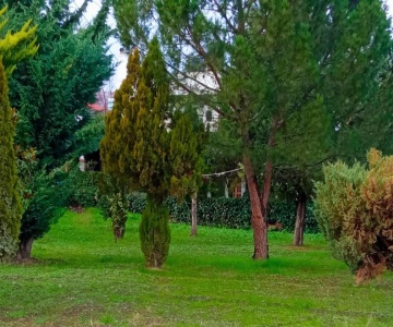 Hotel Maria Lassithi Crete