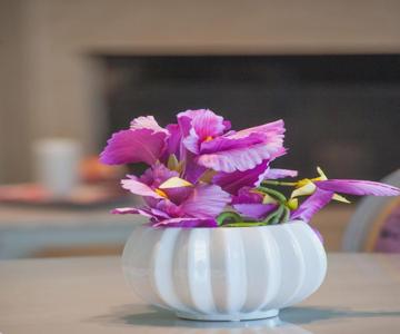 Skandalakis Homes & Apartments