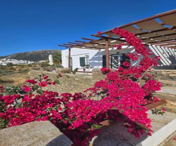 Apollon-Artemis Apartments