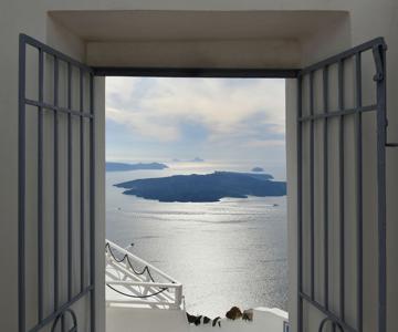 Exclusive Plan Suites