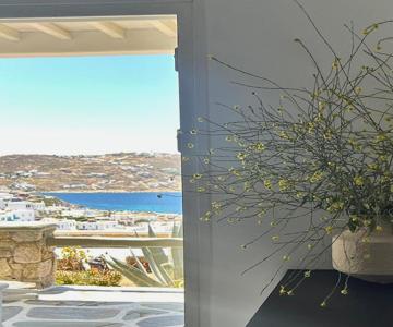 Oro suites view