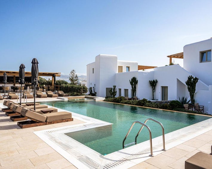 Mykonos Cactus