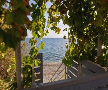 Irini Suites