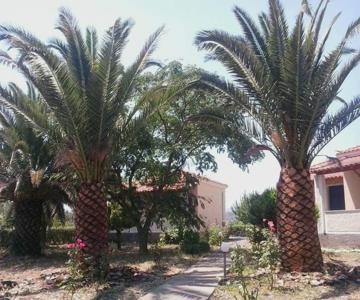 Oasis Studios Skala Kallonis