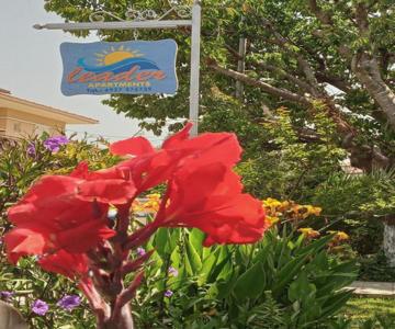 Leader