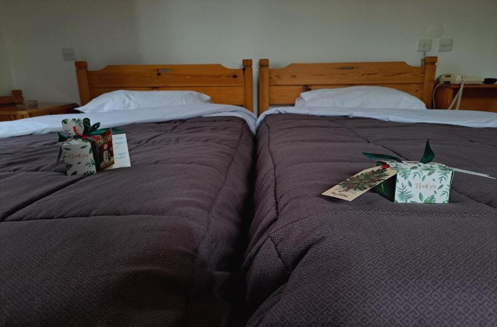 Apollon inn