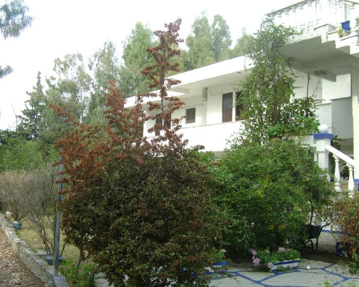 Villa Zoi