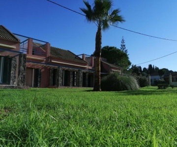 Hotel Elli Studios Kávos