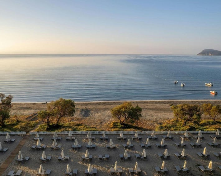 Domes Aulus Zante, Autograph Collection