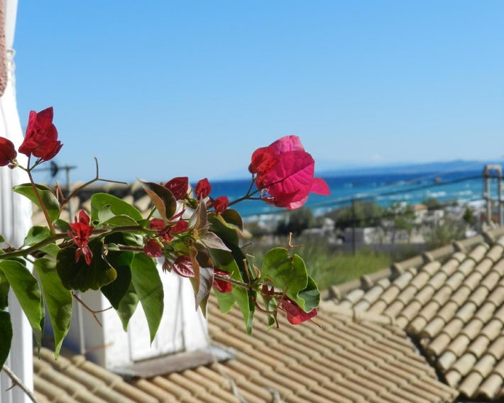 Infinity blue beach apartments - Renovated Apartments 2 Minutes from the Sea & Pool with Scenic View