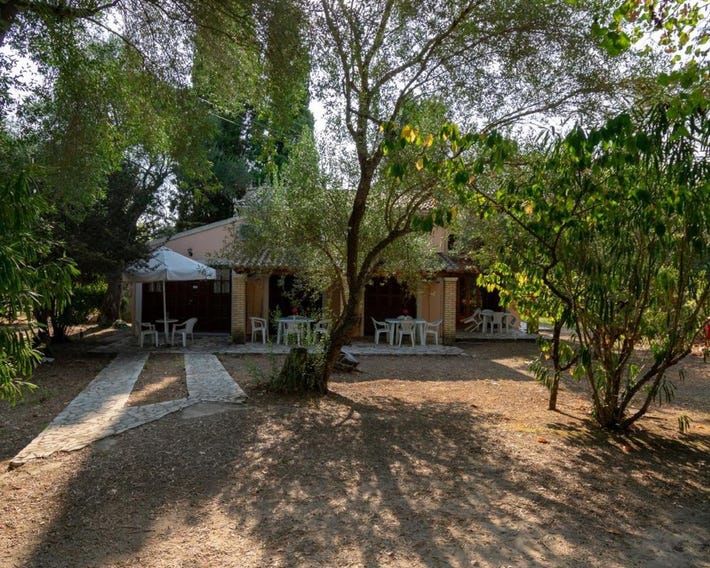 Villa Olive apartments