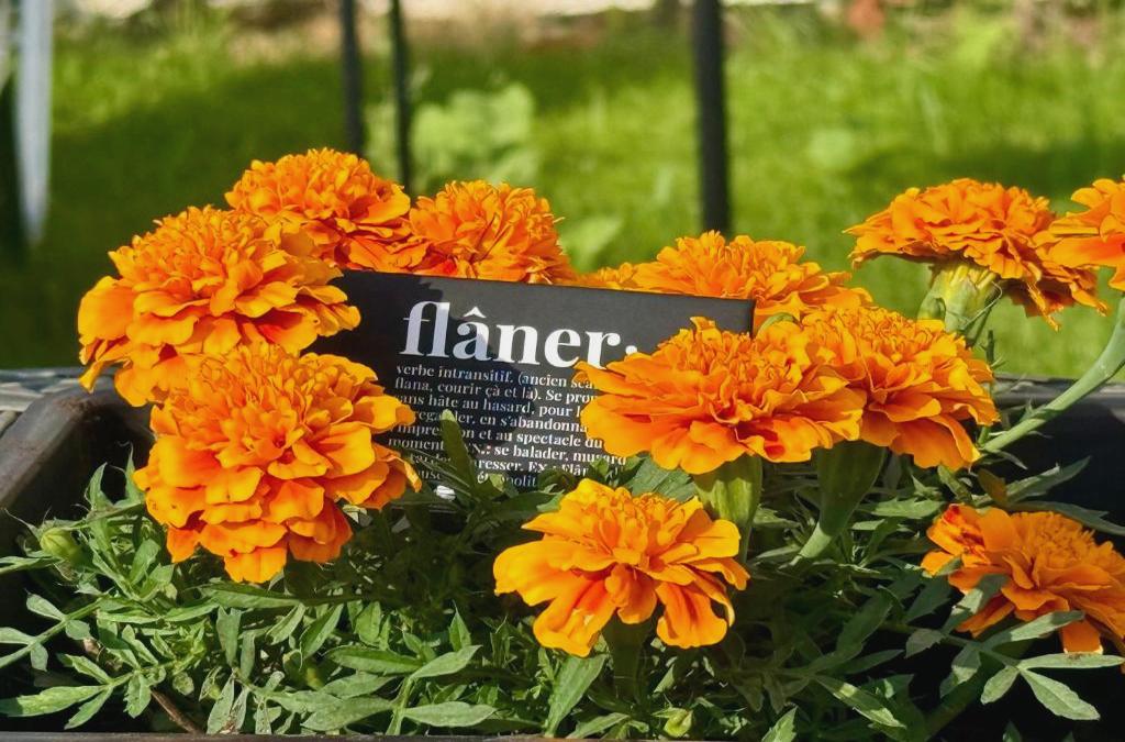 Flâneur