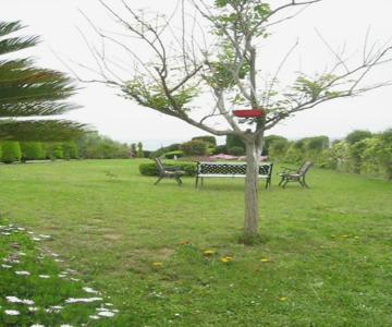 Ground beach studio