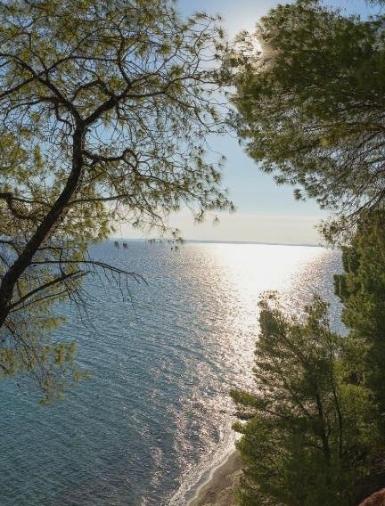 Squirrel Beach Front Villa, Metamorfosi