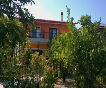Orange Tree Garden