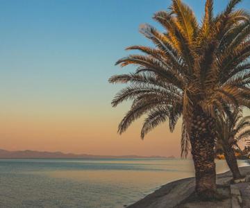 MainAvenue Palm Seaside