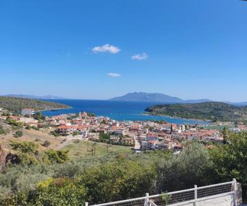 Nera's view