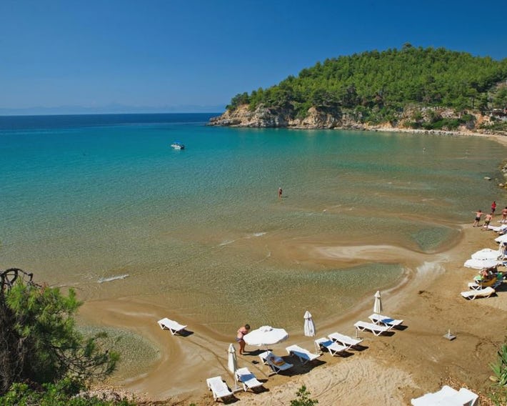 Alonissos Beach Bungalows And Suites Hotel