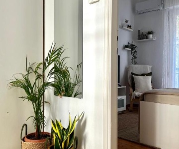Central Comfort Guesthouse