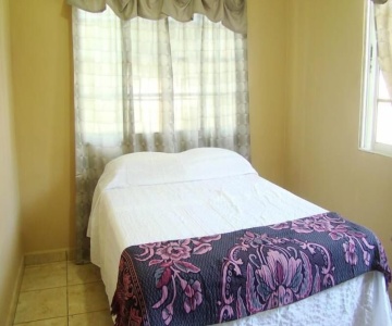 The Guaras Hostal - Hostel