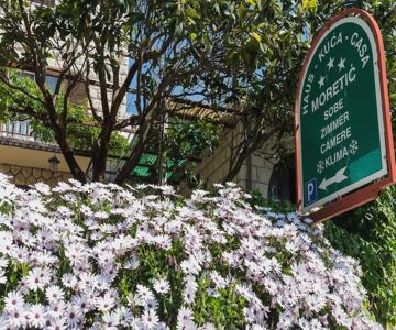 Guesthouse Moretic