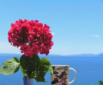 Guest House Lifestyle Holiday