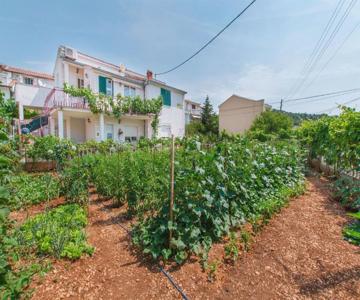 Apartments Mala Dalmacija