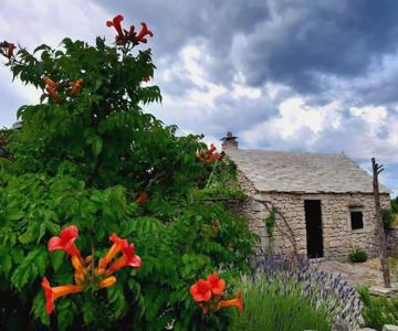 Country House Hacienda