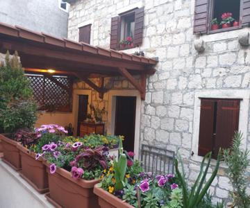 Apartment Zekan